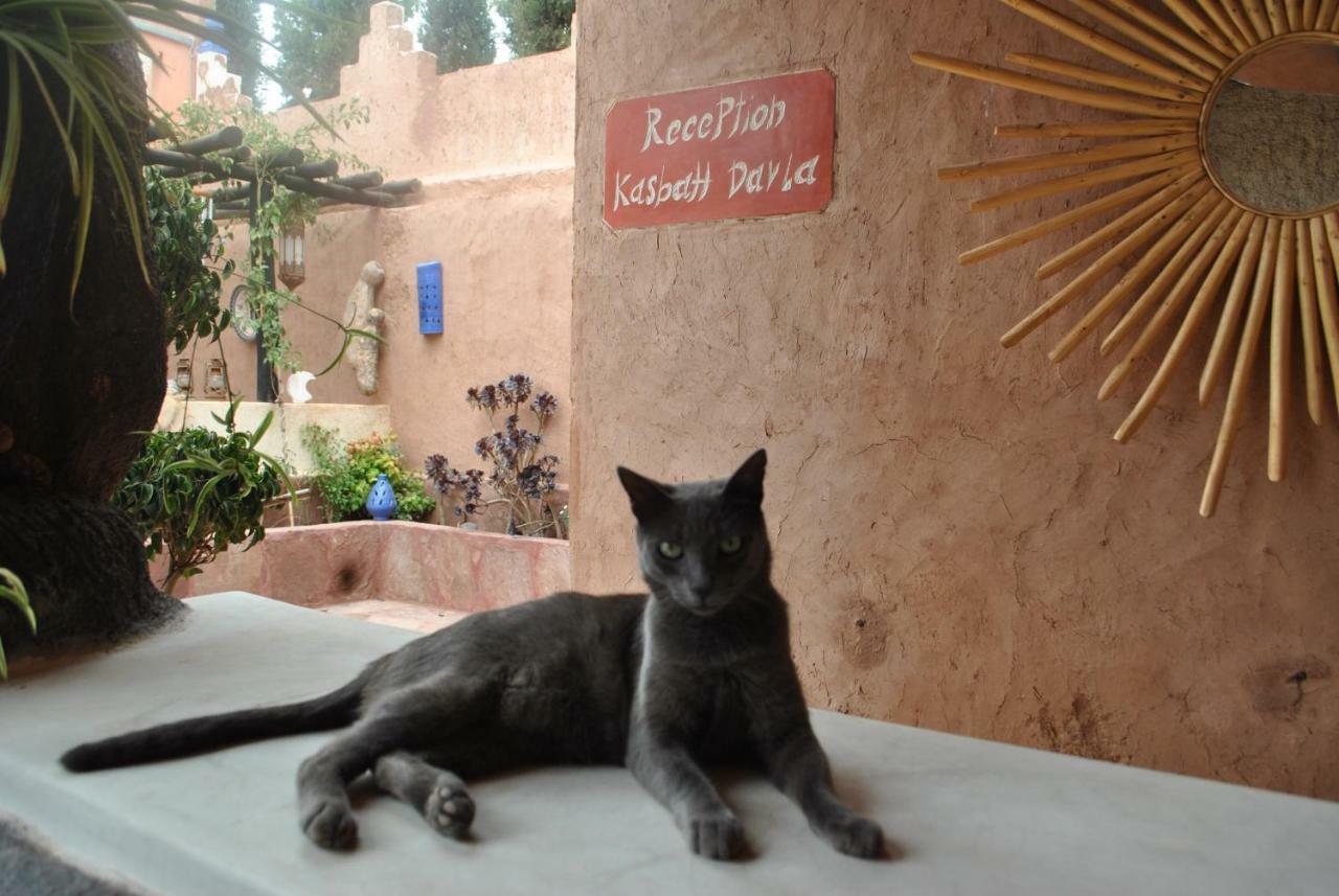 Auberge Kasbah Darla Tahanaout Εξωτερικό φωτογραφία