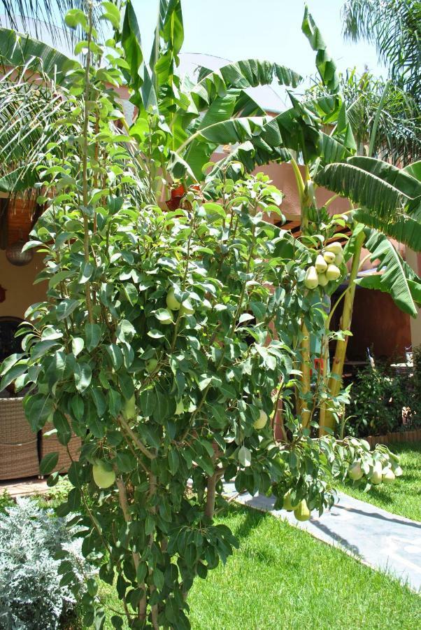 Auberge Kasbah Darla Tahanaout Εξωτερικό φωτογραφία